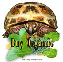 buy-organic_2.jpg
