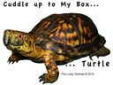 cuddle-up-to-my-box-turtle.jpg
