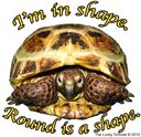 round-is-a-shape.jpg