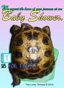 tortoise-baby-shower-invitation.jpg