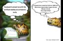 tortoise-birthday-card_2.jpg