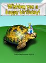tortoise-birthday-card_front.jpg