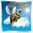 tortoise-grandmas-little-angel.jpg