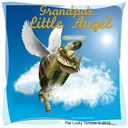 tortoise-grandpas-little-angel.jpg