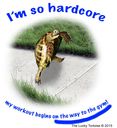 tortoise-on-the-way-to-the-gym.jpg
