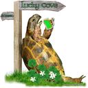 tortoise-with-green-beer-and-clover.jpg